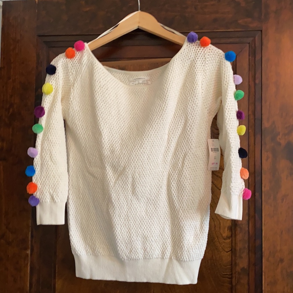 Anthropologie Emilia Pommed Sweater size XS